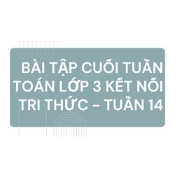 Bài tập cuối tuần Toán lớp 3 Kết nối tri thức - Tuần 14 có đáp án