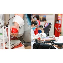 Muốn nhà nước đóng bảo hiểm y tế phải hiến máu mấy lần một năm?
