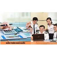 Kiểm toán nhà nước có được cộng tác viên là cá nhân ở nước ngoài?