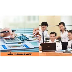 Kiểm toán nhà nước có được cộng tác viên là cá nhân ở nước ngoài?