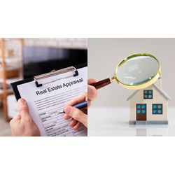 Tổ chức văn phòng giám định tư pháp theo loại hình doanh nghiệp nào