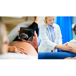 Thủ tục hưởng chế độ thai sản đối với người lao động nước ngoài