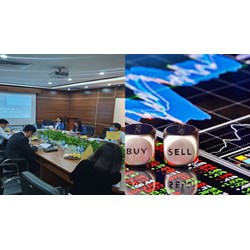 Đại hội nhà đầu tư có được giải thể quỹ đầu tư chứng khoán không?
