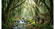 Thuyết minh về vai trò của rừng đối với sự sống con người hay nhất