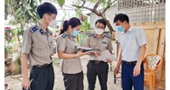 Xử lý chấp hành viên không xác minh về điều kiện thi hành án