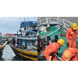 Yêu cầu mua bảo hiểm bắt buộc cho thuyền viên và người làm việc trên tàu cá