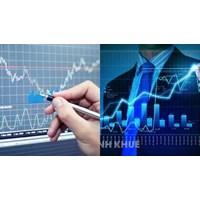 Tên phòng đại diện trong nước công ty quản lý quỹ đầu tư chứng khoán