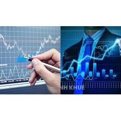 Tên phòng đại diện trong nước công ty quản lý quỹ đầu tư chứng khoán