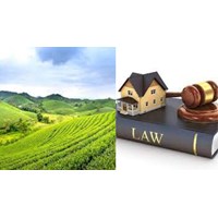 Nghị định, Thông tư hướng dẫn Luật đất đai mới nhất?
