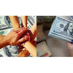 Thành viên góp vốn để thành lập công ty bảo hiểm phải là tổ chức?