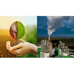 Quy định về thẩm định, phê duyệt báo cáo đánh giá tác động môi trường
