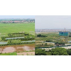 Ở trên đất nông nghiệp đăng ký thường trú được không?
