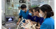 Điều kiện kinh doanh dịch vụ xét nghiệm và phẫu thuật động vật