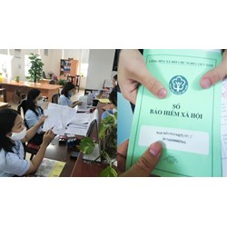 Nghỉ dưỡng sức sau sinh có phải đóng bảo hiểm xã hội?