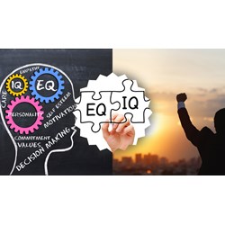 Những người thành đạt không phải là người có IQ cao nhất mà có EQ cao nhất