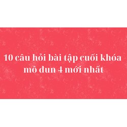 10 câu hỏi bài tập cuối khóa mô đun 4 mới nhất năm 2024