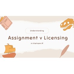 Understanding Assignment vs. Licensing of IP Rights in Vietnam