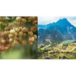 Đăng ký kiểu dáng công nghiệp tại Bắc Giang nhanh nhất năm 2024