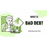 Untangle the Knot: Understanding and Managing Bad Debt in Vietnam