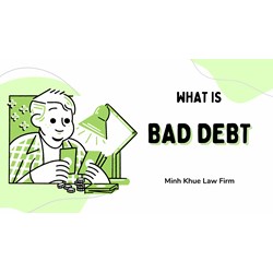 Untangle the Knot: Understanding and Managing Bad Debt in Vietnam