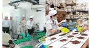 Chỉ tiêu kỹ thuật của thuốc nổ TNT theo QCVN 12-12:2022/BCT