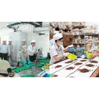 Chỉ tiêu kỹ thuật của thuốc nổ TNT theo QCVN 12-12:2022/BCT