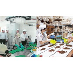 Chỉ tiêu kỹ thuật của thuốc nổ TNT theo QCVN 12-12:2022/BCT