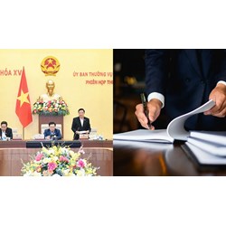 Trách nhiệm lập đề nghị của Chính phủ về chương trình xây dựng luật, pháp lệnh