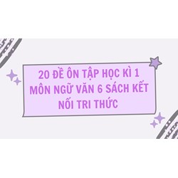 20 đề ôn tập học kì 1 môn Ngữ Văn 6 sách Kết nối tri thức mới nhất