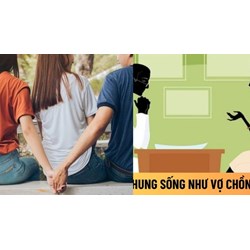 Trách nhiệm hình sự chung sống như vợ chồng dẫn đến vợ tự sát