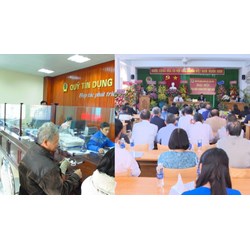 Quy định về hội viên chính thức của Hiệp hội Quỹ Tín dụng Nhân dân