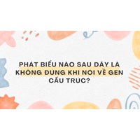 Phát biểu nào sau đây là không đúng khi nói về gen cấu trúc?