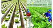 Phạm vi áp dụng Tiêu chuẩn quốc gia về Nông nghiệp hữu cơ thế nào?