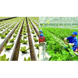 Phạm vi áp dụng Tiêu chuẩn quốc gia về Nông nghiệp hữu cơ thế nào?