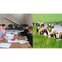 Vay vốn Quỹ Hỗ trợ nông dân mức vốn vay không quá 15% vốn chủ sở hữu