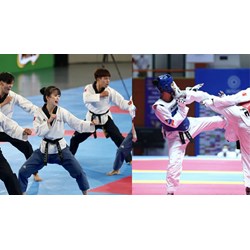 Tử hình huấn luyện viên Taekwondo hiếp dâm nhiều nam sinh dưới 16 tuổi?