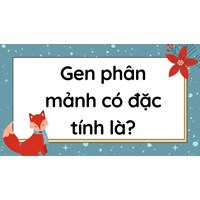 Gen phân mảnh có đặc tính là? - Sinh học lớp 12