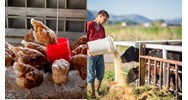 Thử nghiệm kiểm tra vi sinh vật trong thực phẩm và thức ăn chăn nuôi