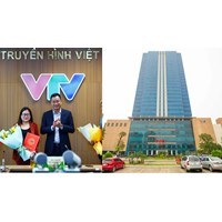 Tổng giám đốc Đài Truyền hình Việt Nam là thành viên chính phủ?