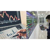 Xác định nhà đầu tư chứng khoán chuyên nghiệp khi có chứng chỉ?