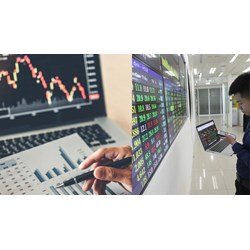 Xác định nhà đầu tư chứng khoán chuyên nghiệp khi có chứng chỉ?