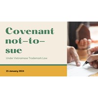 Exploring the Covenant-Not-to-Sue in Vietnamese Contracts