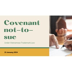 Exploring the Covenant-Not-to-Sue in Vietnamese Contracts