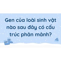Gen của loài sinh vật nào sau đây có cấu trúc phân mảnh?