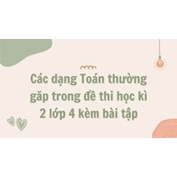 Các dạng Toán thường gặp trong đề thi học kì 2 lớp 4 kèm bài tập