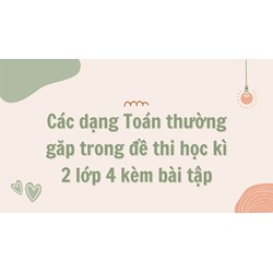 Các dạng Toán thường gặp trong đề thi học kì 2 lớp 4 kèm bài tập