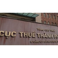Cục trưởng Cục Thuế Hà Nội chịu trách nhiệm trước ai về hoạt động