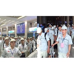 Lao động Việt Nam tại Hàn Quốc không phải đóng BHXH 2 lần năm 2024