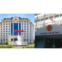Thẩm quyền quyết định cơ cấu tổ chức từng Cục Thuế trực thuộc Tổng cục Thuế