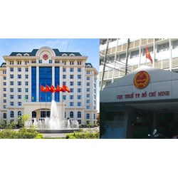 Thẩm quyền quyết định cơ cấu tổ chức từng Cục Thuế trực thuộc Tổng cục Thuế
